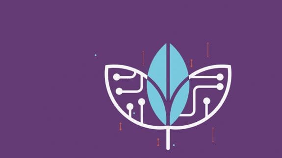 Bluefruit case study