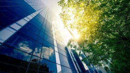 The glass skyscraper and the tree in a bright day light.