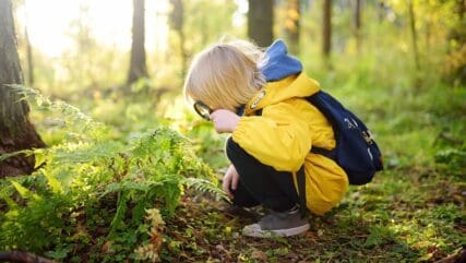 A child looking at a fern through a magnifying glass in the forest.