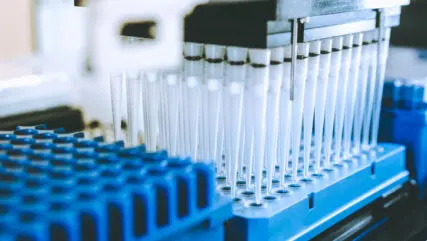 test tubes in a rack in a lab