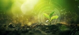 Young sprout growing out from the soil, with a light tech graphic over it.