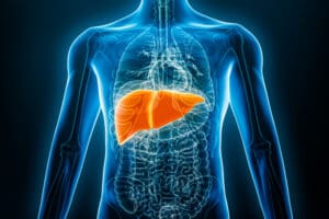 Human liver highlighted orange in x-ray model of the male human body.