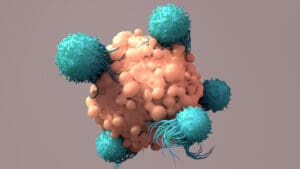 3-D rendering of T-Cells working to fight cancer.
