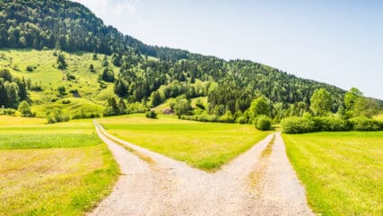Green field with dirt road split into a crossroad