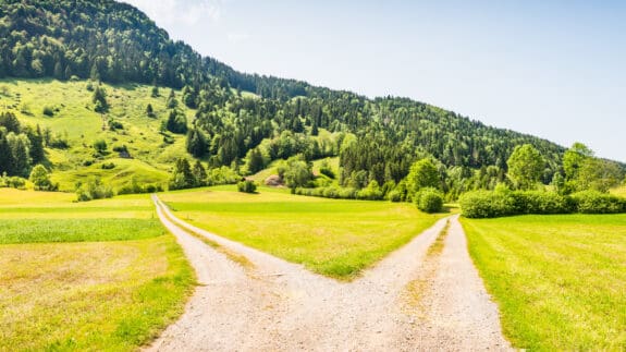 Green field with dirt road split into a crossroad