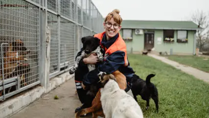 Young adult woman working and playing with dogs in animal shelter