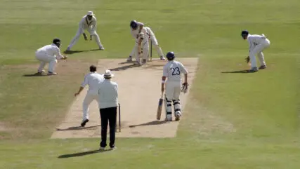 Cricket match on grass