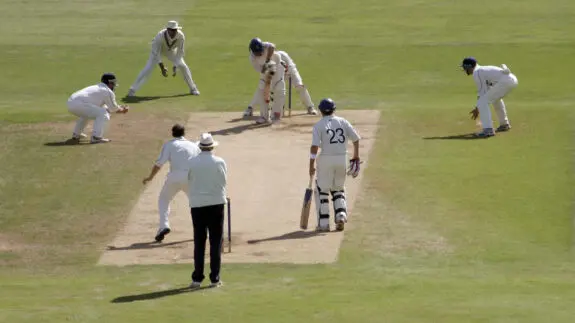 Cricket match on grass