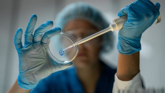 Lab techs at work